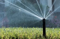 /album/galeria-de-fotos-sistema-de-rega/a77-jpg/